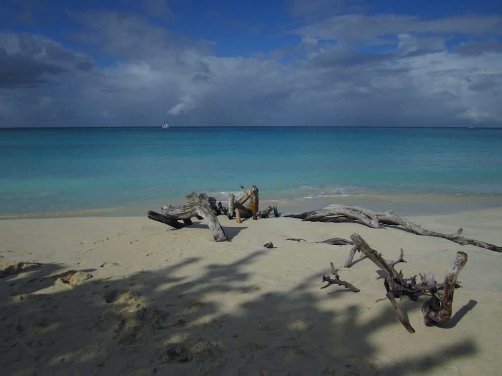 Antigua Chiama Italia Villas Jolly Harbour 객실 사진